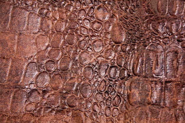 Textura de piel de reptil serpiente o cocodrilo