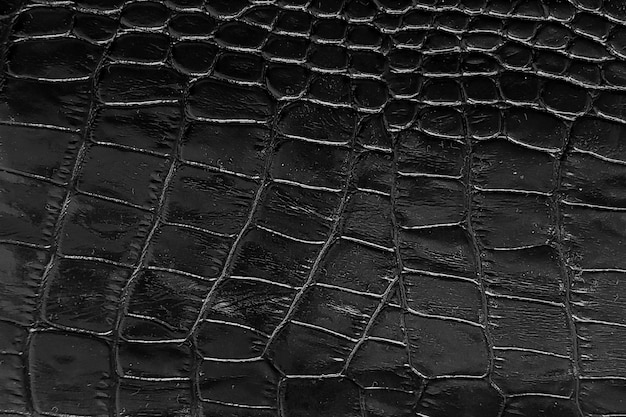 Textura de piel de serpiente o cocodrilo de fondo negro