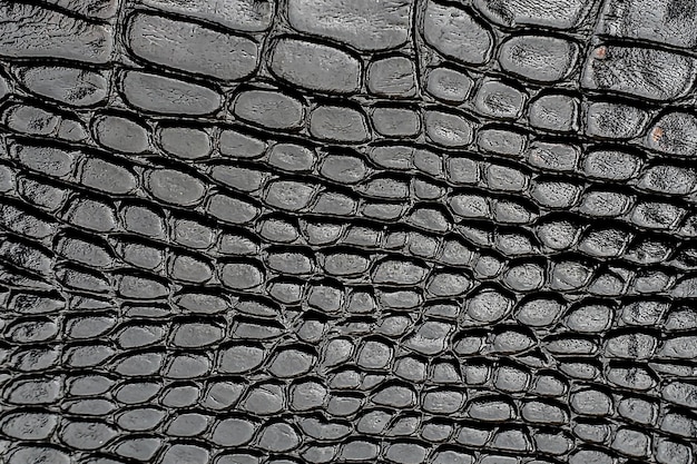 Textura de piel de serpiente o cocodrilo de fondo negro