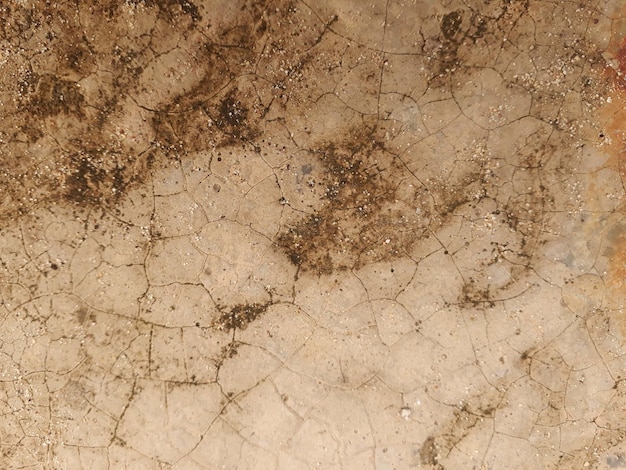 Textura de piso de fondo de piedra