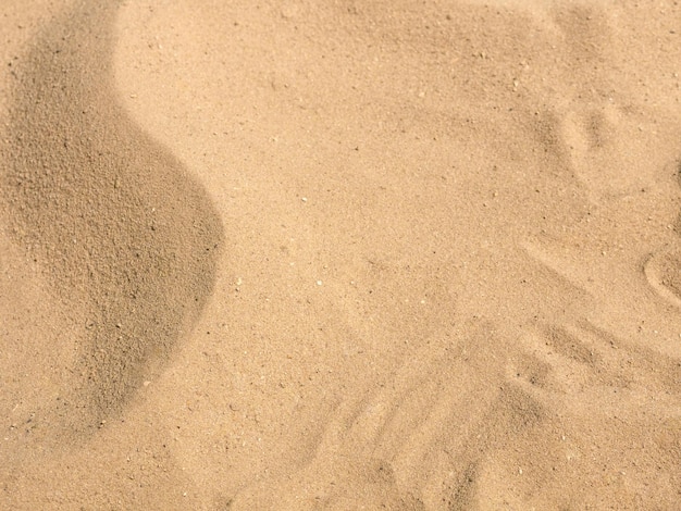 La textura de una playa de arena agita un lugar para el texto