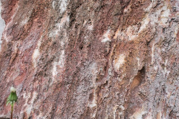 Textura poderosa rugosa antigua de piedra en pantalla completa con pequeños detalles