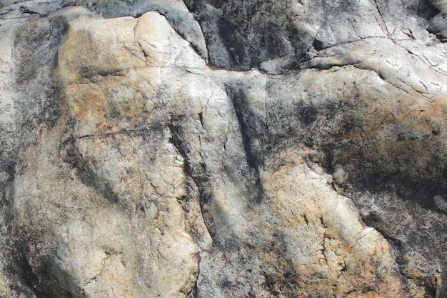 Textura poderosa rugosa antigua de piedra en pantalla completa con pequeños detalles