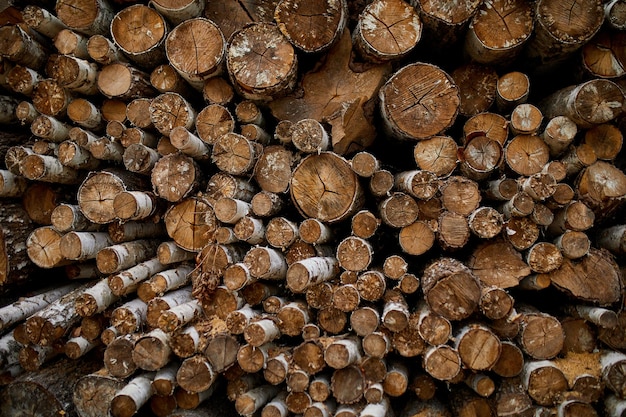 Textura de poste de madera de troncos de madera aserrada picada en seco