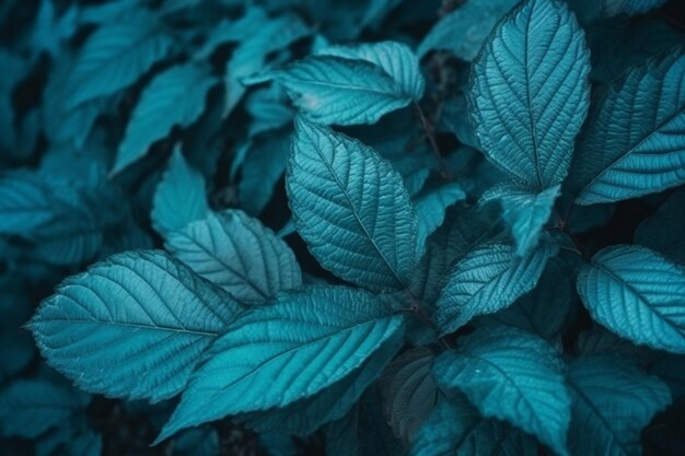 La textura del primer plano de follaje azul Fondo natural Color cian