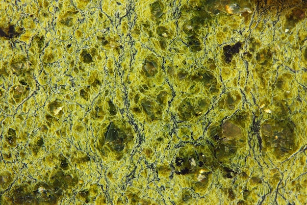 Textura de primer plano de piedra de jaspe verde