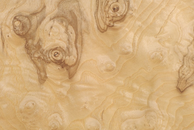 Foto textura de primer plano de raíces de chapa de madera