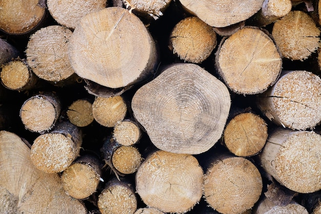 Textura de primer plano de troncos de pino preparados y plegados cuidadosamente