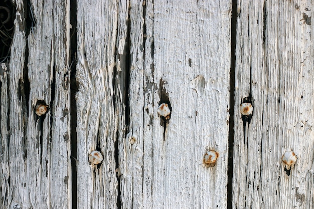 textura de puerta de madera vieja