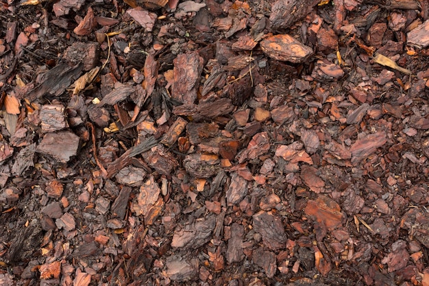 Textura. Residuos de carpintería. Montones de virutas, corteza, trozos y aserrín.Foto de alta calidad