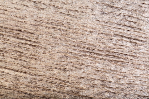 Textura de roble de pantano de madera oscura rayada natural como fondo Foto de alta resolución
