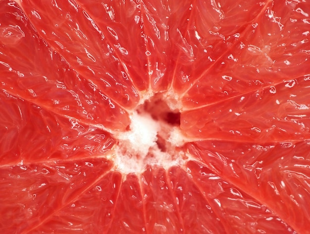 La textura de la rodaja de pomelo rojo closeup fondos cítricos