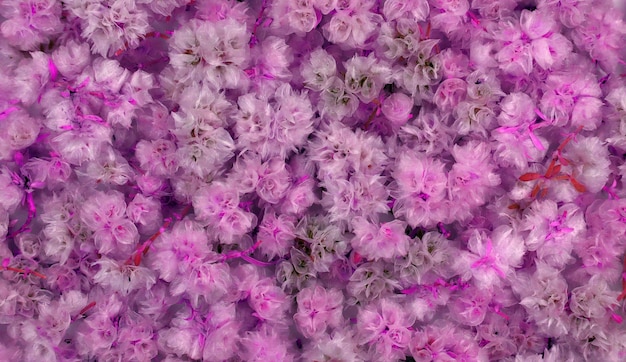 Textura rosa violeta púrpura, manchas puntiagudas, hojas espinosas, patrón geométrico aleatorio. para el diseño