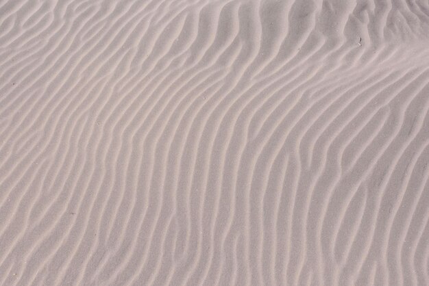 Textura Sand Dune Desert na ilha de Gran Canaria Espanha