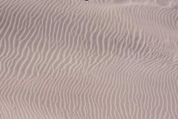 Foto textura sand dune desert na ilha de gran canaria espanha