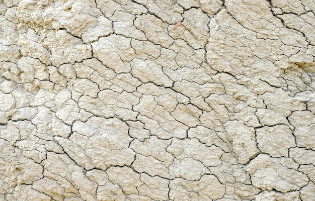 Textura seca del suelo agrietado. Aterriza en un lago seco.