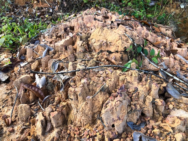 Textura seca del suelo agrietado en el jardín