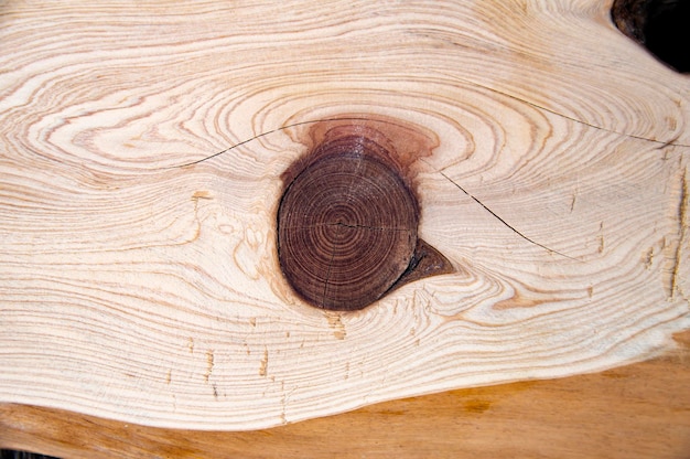 Textura de una sección longitudinal de un tronco de árbol