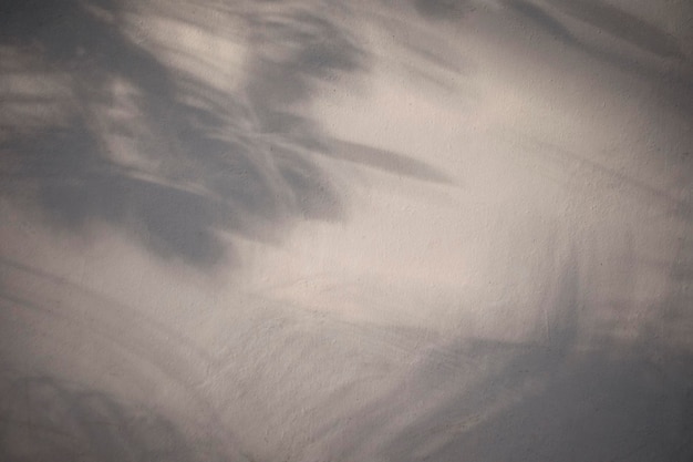 Foto textura sem costura da parede de cimento branco uma superfície áspera e sombra de folha com espaço para texto para um fundo