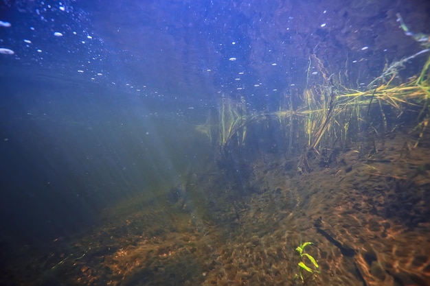 textura submarina del agua en un lago / ecosistema de agua dulce fotográfico subacuático, fondo de textura de agua