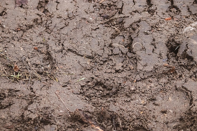 Textura sucia Tierra mojada y empapada después de la lluvia Superficie de barro en otoño