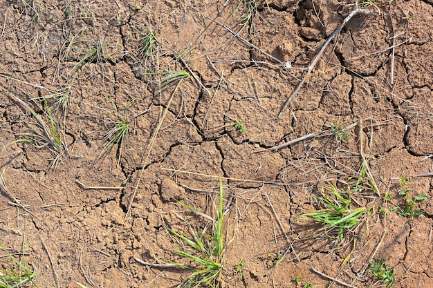 Textura de suelo agrietado de barro seco Fondo de temporada de sequía Tierra seca y agrietada seca debido a la falta de lluvia Efectos del cambio climático