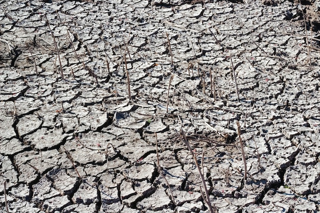 Textura de suelo agrietado seco