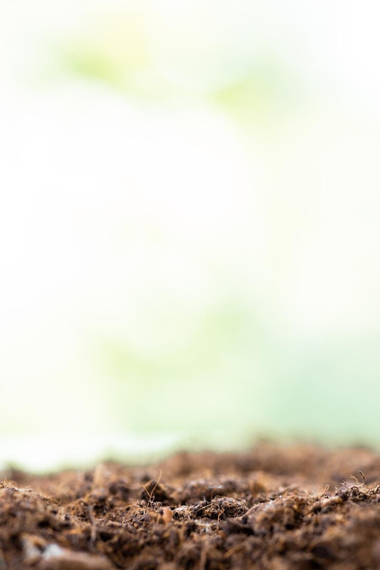 textura del suelo con fondo verde
