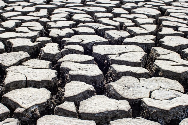 Textura de suelo seco y agrietado