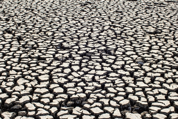 Textura de suelo seco y agrietado