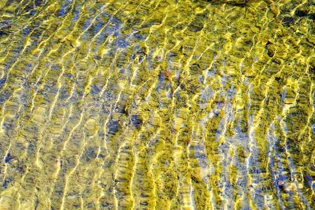 Textura de la superficie de agua poco profunda del estanque