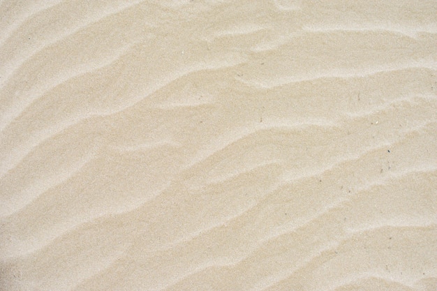 La textura de la superficie arenosa con una superficie ondulada formada por arena de viento Cerca de la textura de fondo de las dunas de arena Fondo de verano para el diseño Abstracción en la naturaleza