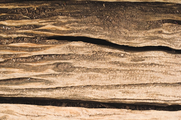 Textura de la superficie de madera