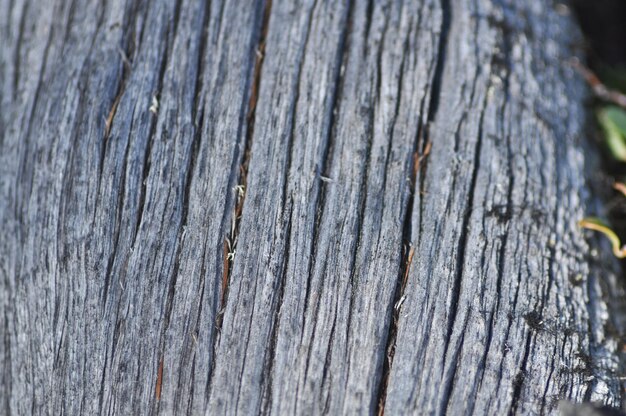 Textura de la superficie de la madera