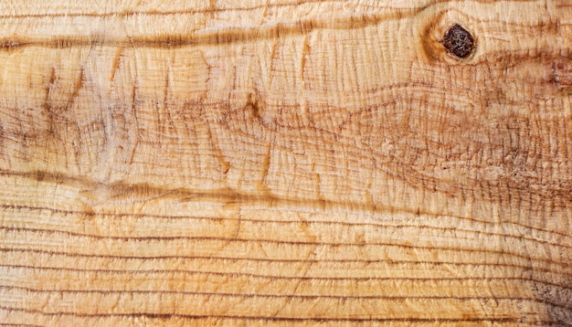 La textura de la tabla de madera de álamo Foto en primer plano