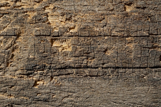 Foto textura de tablero de madera