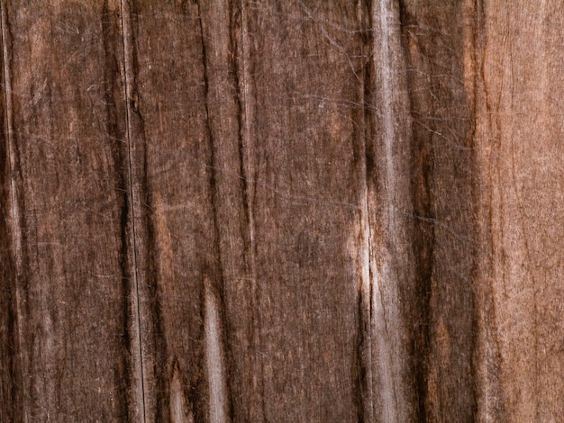 Textura del tablón de madera para el fondo