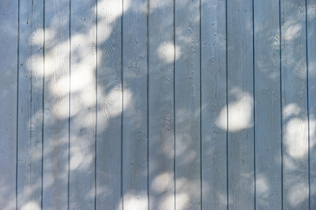 Textura de tablones de madera en tonos azul turquesa para patrones modernos de fondo con espacio para texto.