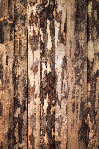 Textura de tablones de madera