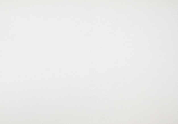 Textura de tela blanca para el arte