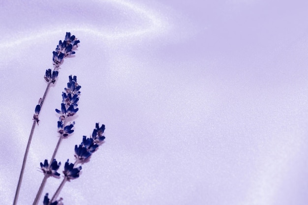 Foto textura de tela de seda con ramitas de lavanda en color del año 17-3938 very peri.