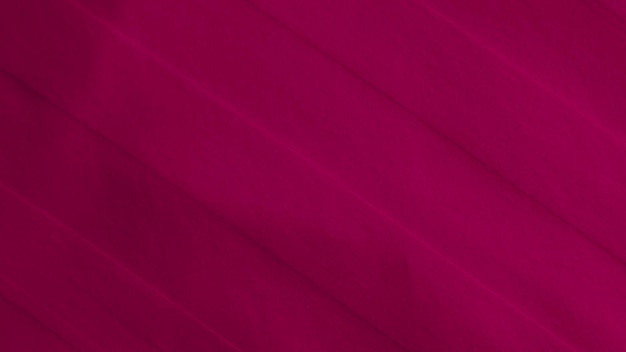 Textura de tela de terciopelo rosa utilizada como fondo Fondo de tela rosa vacío de material textil suave y liso Hay espacio para textx9