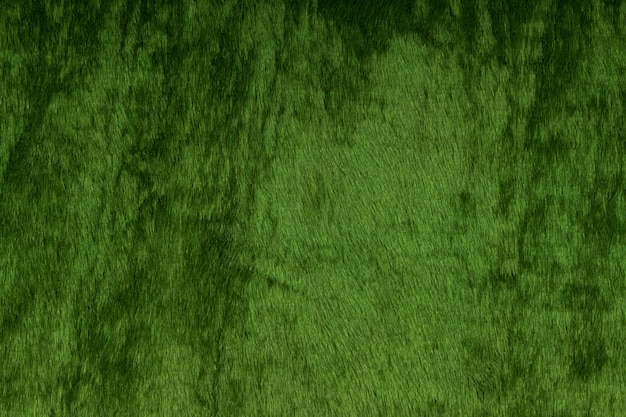 Textura de terciopelo verde oscuro.