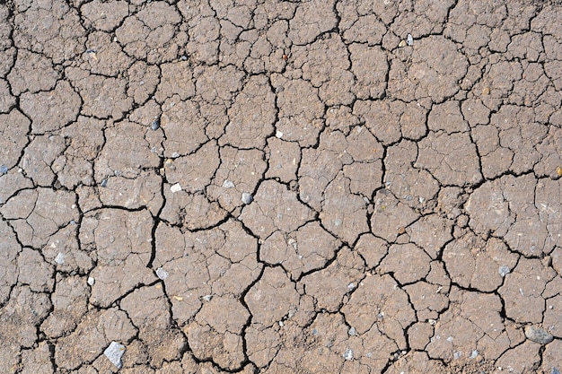 Textura de tierra agrietada de barro seco Fondo de temporada de sequía Tierra seca y agrietada debido a la falta de lluvia Efectos del cambio climático como la desertificación y las sequías