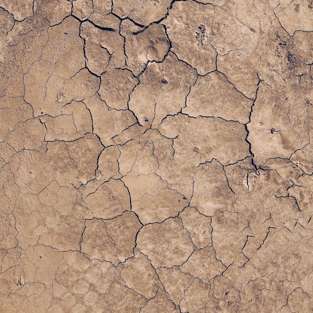 Textura de tierra agrietada primer plano grieta en el entorno de fondo de tierra Textura de barro