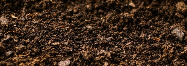 Textura de la tierra como telón de fondo de la naturaleza y el medio ambiente