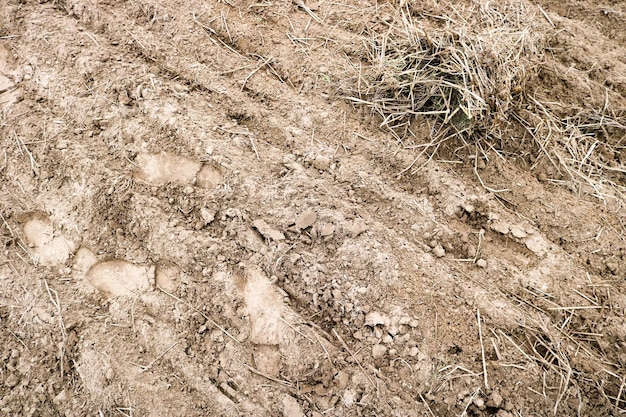 Textura de tierra fosilizada marrón con parches de fondo de hierba seca