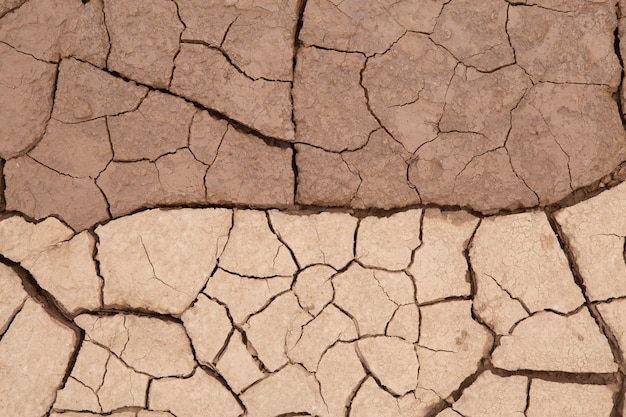 Textura de tierra o tierra seca craquelada durante la sequía.