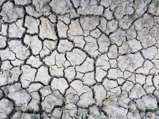 Textura de tierra seca agrietada Fondo de suelo monocromo reseco