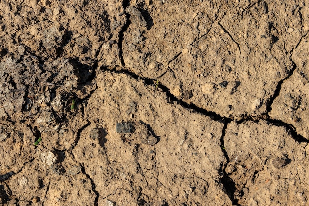 Textura de tierra seca agrietada para el fondo